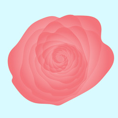 Vector illustration of abstract rose background