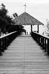 Fototapeta premium Malecon Chapala lake