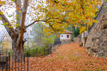 Road in the fall III