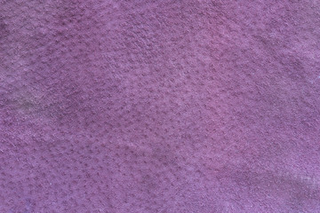Purple suede