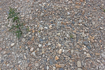 parterre de cailloux