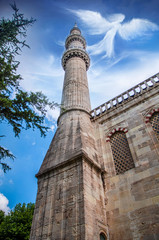 Fototapeta premium mosque