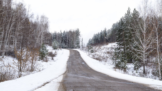 Fototapeta The road in the forest winter