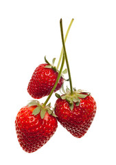 ripe red strawberries with stems and leaves isolated on white ba