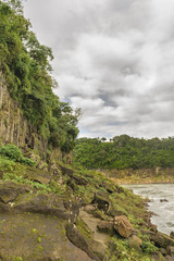 Iguazu Park Landscape