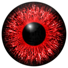 Red eye iris - 96106099