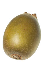 kiwi isolated