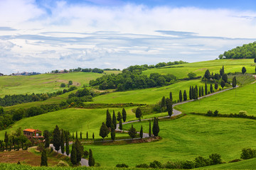 Fototapety  Piękny krajobraz Toskanii z krętą drogą i cyprysami