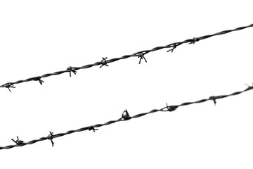 barbed wires on white background. The concept of the refugees
