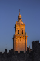 Naklejka premium Burgo de Osma Cathedral