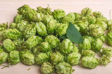 hop cones