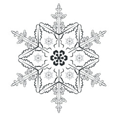 Snowflake