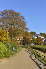 Repos au soleil le long du chemin au parc des étangs de Boitfort à Bruxelles