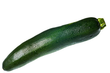 zucchini isolated