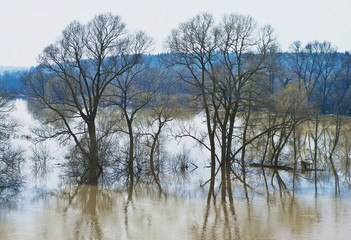 Wide flood of small river
