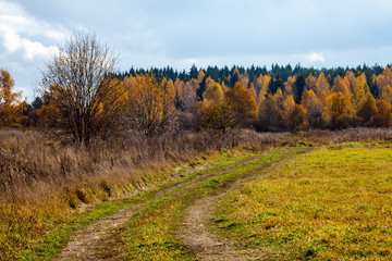 Fototapeta na wymiar Rural path in a field