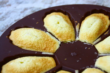 madeleines faite maison dans moule