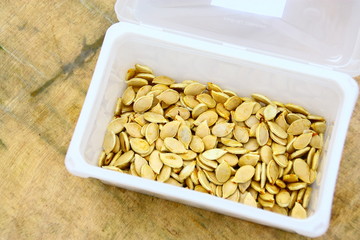 graines de courgette,semence pour plantation