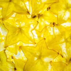back lit yellow ripe slices of star fruit carambola