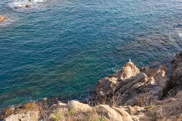Скала La roca de Sa Palomera,  Коста-Брава. Бланес, Каталония, Испания
