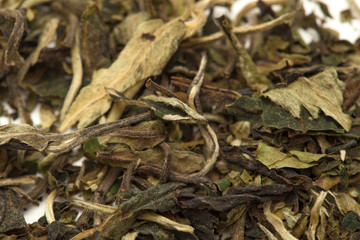 white tea  Pai Mu Tan leaves