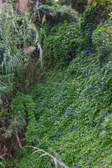 Ботанический сад Маримутра. Бланес, Каталония, Испания
