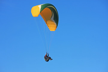 Paraglider
