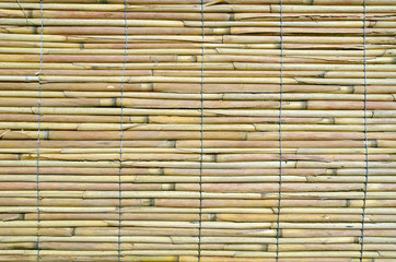 Japanese bamboo texture