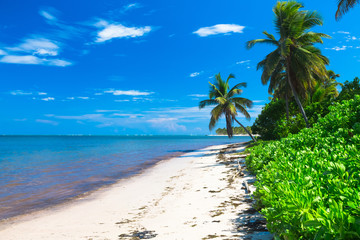Obraz na płótnie Canvas Beautiful caribbean beach in Dominican Republic