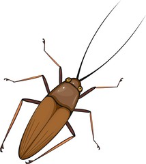 cockroach