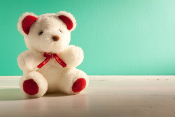 beautiful white teddy bear on white,green wood background.