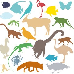 set of colored silhouettes of various animals