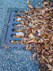 Herbstlaub verstopft Schacht