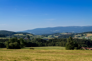 Fototapeta na wymiar Bayerischer Wald