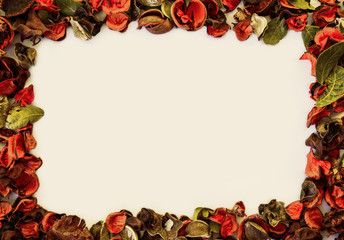 Dry Decoration Frame, Bright Yellow Background