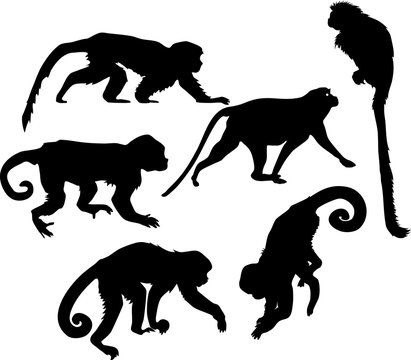 set of silhouettes of monkeys