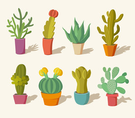 collection of cactus