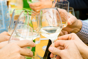 people celebrating party with glasses of wine
