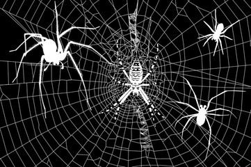 silhouettes spiders and spider web