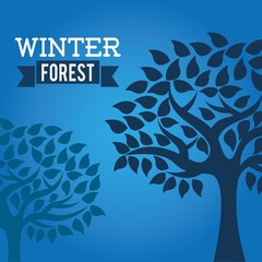 winter season design