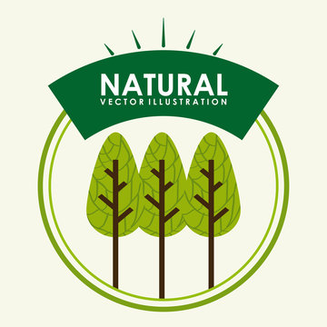 Natural and eco  design 