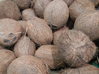 Noix de coco