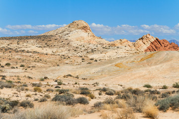 Fototapeta na wymiar Desert in Valley of Fire State Park, South Nevada, USA