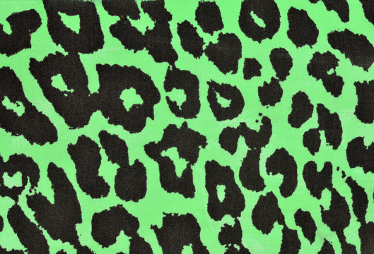 Green Leopard Print Images – Browse 19,659 Stock Photos, Vectors, and Video