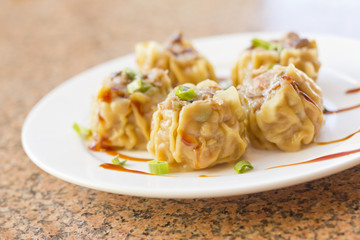 Chinese Dim Sum Dumplings