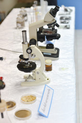 Workshop for lemon basil farmer