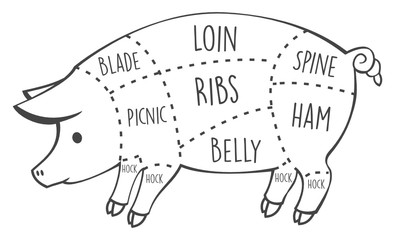 Pork meat cuts