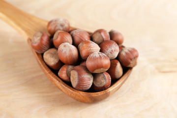 Hazelnuts in a wooden spoon