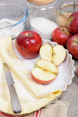 ingredients for the preparation of apple pie