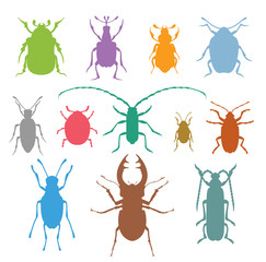Colorful insects vector biology collection